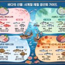계절별 대표 생선회 총정리 이미지