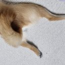 이마트24 R연천청산점 | [포천여행] 온천가고싶어서 급하게 간 포천 여행 (사우나 여행)