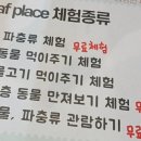 콩콩다육 | 용인 아이와 가볼만한 곳 리프 플레이스