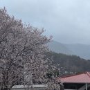 강변펜션 | 청도강변돌고래펜션 낙대폭포 다녀와서 더 좋았던 후기!!