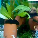 우진아쿠아 이미지