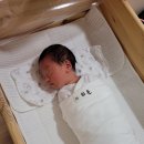 (주)바디프랜드 평택 | 더네이처 산후조리원 후기