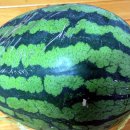 원당1통 이미지