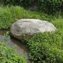 장성마을 건너 이미지