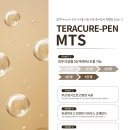 테라오토 이미지