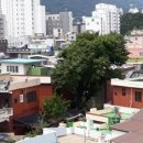도시숲 산책길 이미지