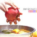 올바른과일