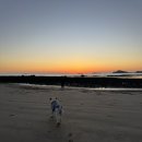 애봉이네 이미지