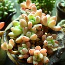 제눈에안경 이미지