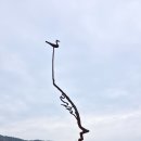 향일암전망대 이미지