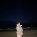 서천 홍원항 전어 맥문항 꽃축제 🪻다녀오고 편안한 휴식 개비온 호텔후기