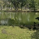 왕궁농업협동조합 | [방콕4박5일]카오산로드,샹그릴라호텔,담넌사두억수상시장 자유여행