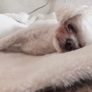 모찌네호캉스 이미지