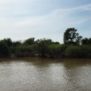 영천제일주유소 이미지