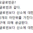 호기흡기에너지관계/태아&모체헤모글로빈/호흡산증 이미지