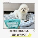 (주)덴탈브릿지 | 입냄새·치석 고민에 추천! 덴티멀 덴탈츄 실제 급여 후기