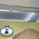 마이앤써이즈쿠키 이미지