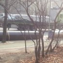 산업도로 이미지