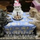 뜨개이야기 - 춘천시 삭주로 26 | 뜨개이야기