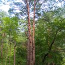 비엔나모텔 이미지