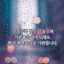 삼익피아노대구 이미지