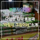 이집이그집이야 이미지