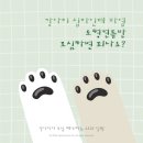 강아지나라동물병원 이미지