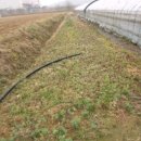 도암여성경로당 이미지