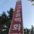 핫독애견백화점 이미지