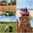 화상배목장 | 베트남 나트랑 필수 코스 판랑사막, 양떼목장 피크타임 단독 투어 추천 솔직후기 (feat. 꿀팁)