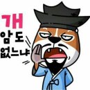 있느냐!!~ 없느냐!!~ 이미지