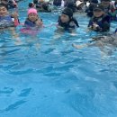 용인대석사명품태권도 이미지