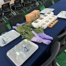 그린인테리어 홈가드닝 | 그린에듀키트 콩비지 업사이클링 DIY 체험 후기 힐링타임 @푸레기마을