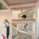 바오키즈풀빌라B | 가평 아이와키즈풀빌라 | B 101 핑크방 후기