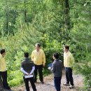 산림청 동부지방산림청 영월국유림관리소 이미지