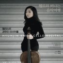 첼로 이미지