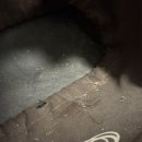 유모차(UMOCHA) 이미지