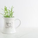 선과은 이미지