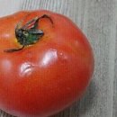 서호농장 이미지