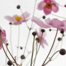 더예쁜PC 이미지