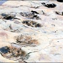 화석 2002 이미지