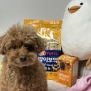 (주)하림펫푸드 | 하림펫푸드 밥이보약 반짝이는 눈 &amp; 영양톡톡 4주 급여 후기