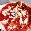 하얀도화지 이미지