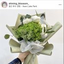 샤이닝블로썸