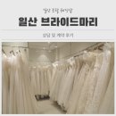토탈프라자 | 일산 웨딩토탈샵 브라이드마리｜솔직한 상담&amp;계약 후기💍