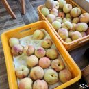 서산농장 이미지