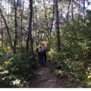 대구둘레길 5~6구간 (2019.03.17 일요일) 안내 이미지