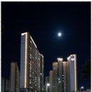 금호부동산중개 이미지