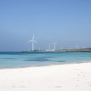 월정리에 이미지