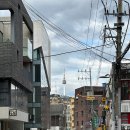 전생에인연펫 | [용산/용리단길 타로] 소름돋는 영타로 솔직후기 (feat.오션 선생님)